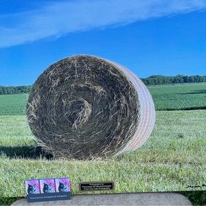 Picture by Theresa Brockmeyer. Canvas 16 x 20 picture of a bail of hay.